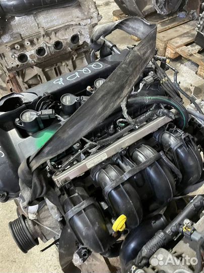 Двигатель qqdb ford 1.8 контрактный установка