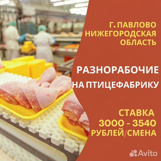 Разнорабочие на птицефабрику. Вахта с жильём