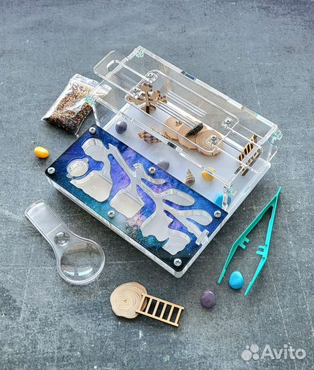 Муравьиная ферма, Формикарий