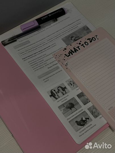 Репетитор по биологии