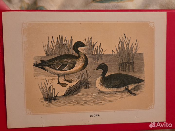 Картинка винтаж