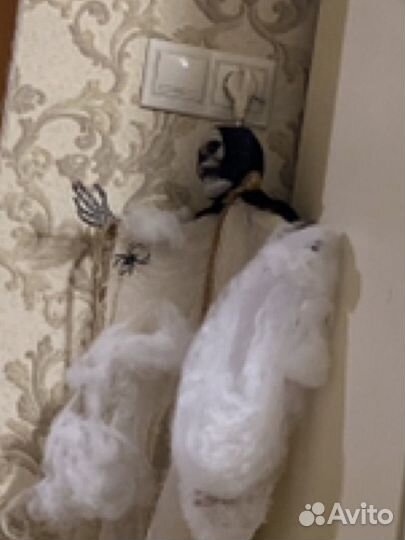 Продам чудика