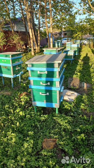 Улей для пчел бу