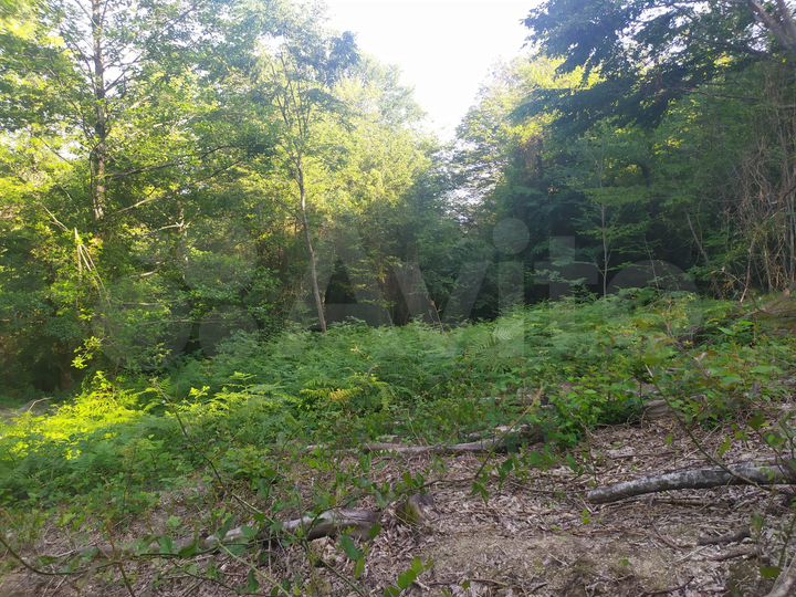 Участок 5 сот. (СНТ, ДНП)