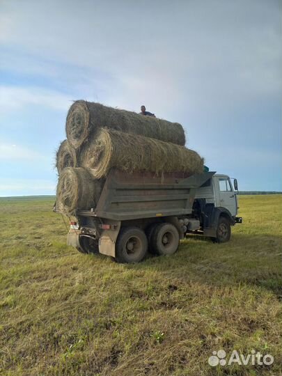 Продам сено в рулонах