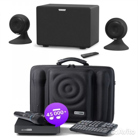 Караоке комплект EvoBox Plus EvoSound Sphere