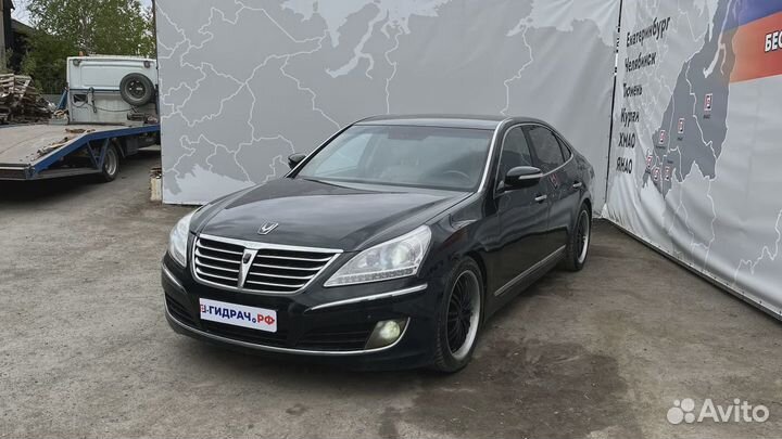 Петли двери передние левые Hyundai Equus (VI)