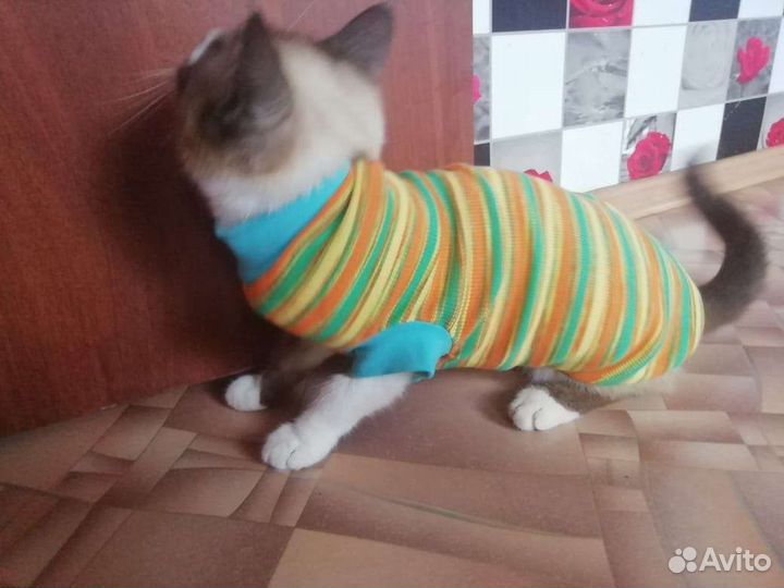 Одежда для животных