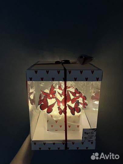 Бабочки в аквариуме