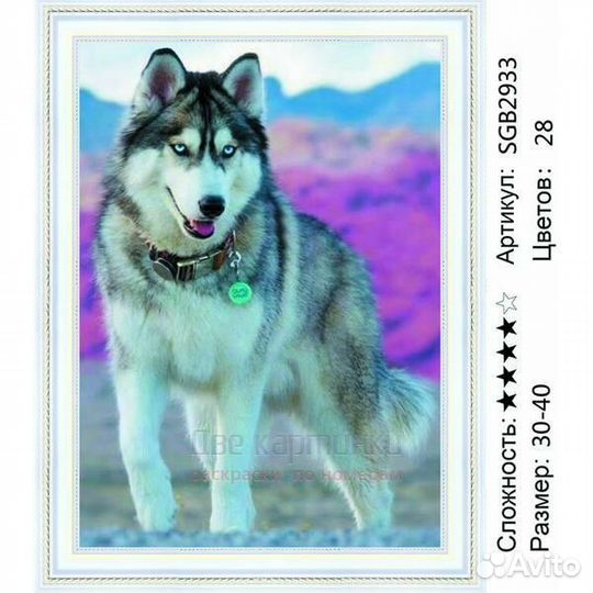 Алмазная мозаика 30x40 SGB2933