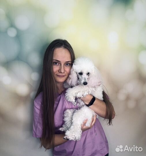 Груминг пушистиков