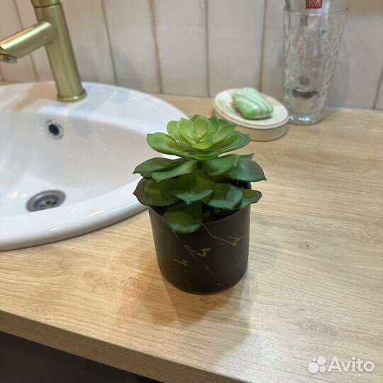 Искуственный суккулент