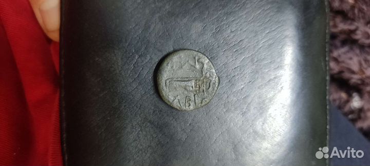 Монета Борисфен Оливия