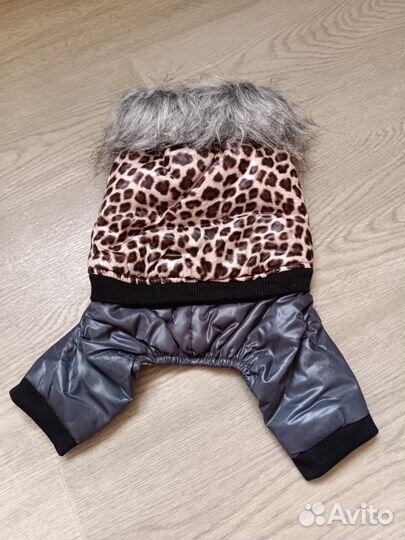 Одежда для собак мелких пород пакетом