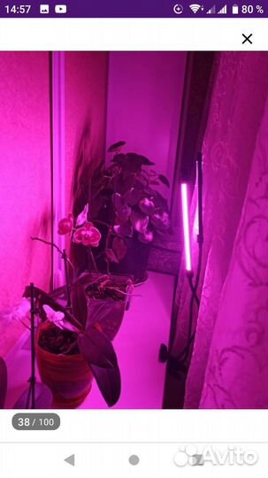 Фитосветильник для растений