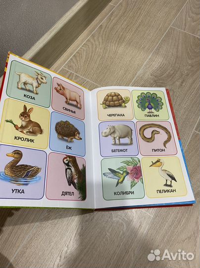 Годовой курс занятий 1-2 эксмо