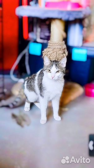 Выкинули малышей