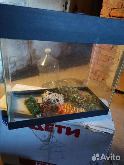 Аквариум