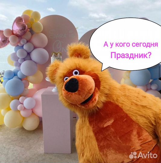 Аниматоры на день рождения мишка