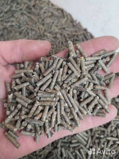 Гранулированный комбикорм