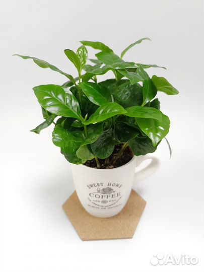 Кофе в кружке