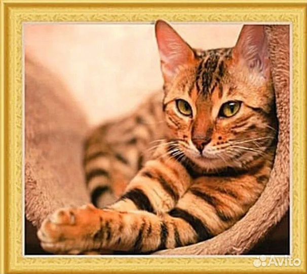 Алмазная мозаика 7DAR315