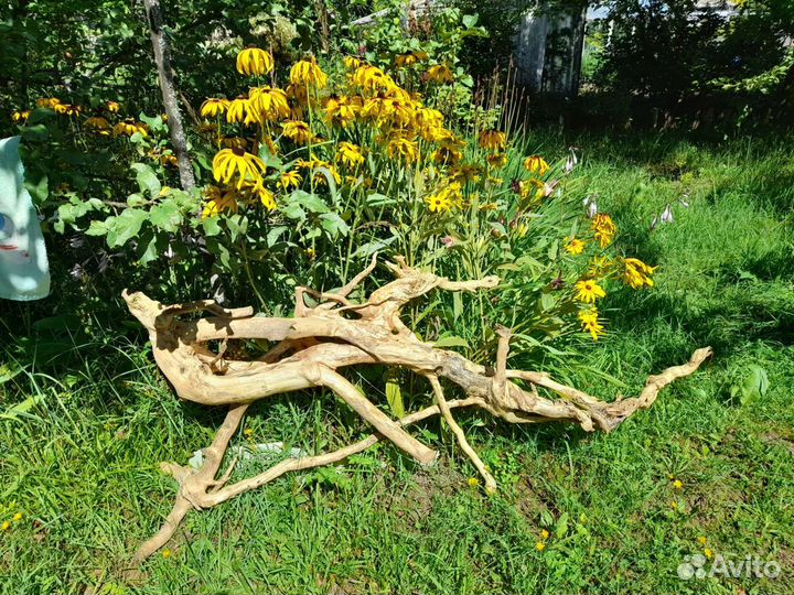 Дрифтвуд, 'Корень мандрагоры' для творчества