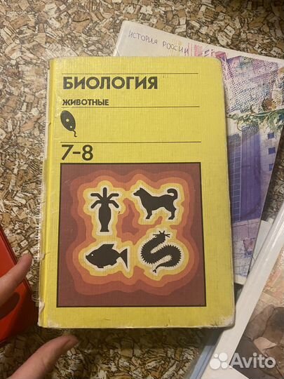 Учебник разные