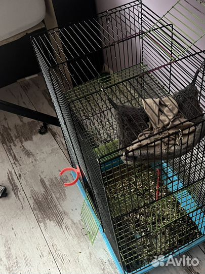 Клетка для грызунов