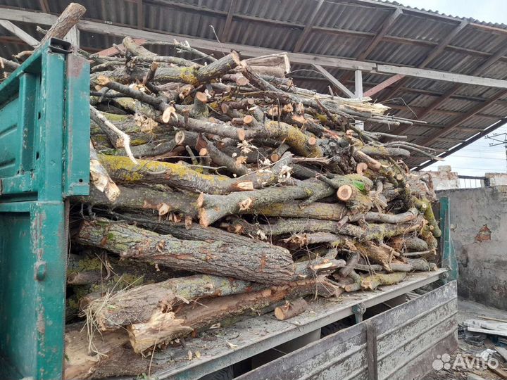 Дрова твердых пород