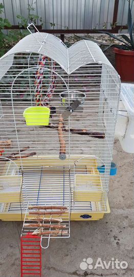 Клетка для попугая