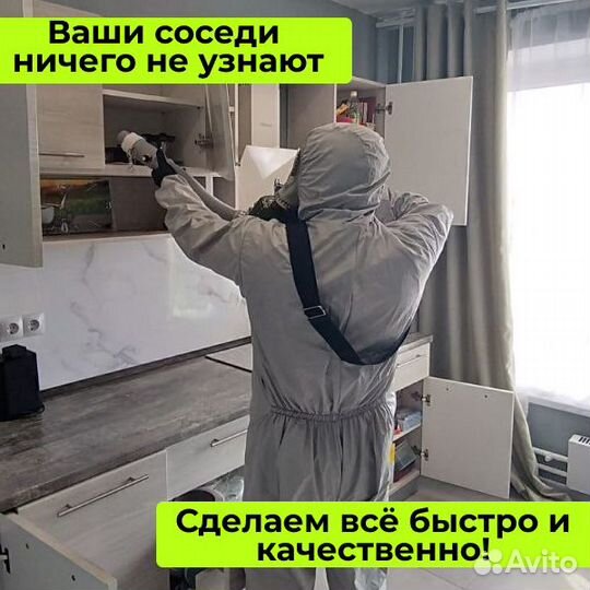 Дезинфекция
