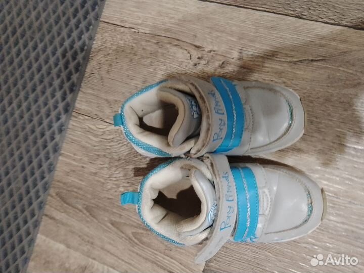 Отдам бесплатно