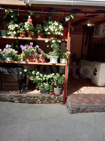 Дом 20 м² на участке 1 сот.