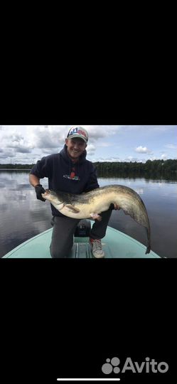 Рыбалка с гидом и обучение ловли на спиннинг