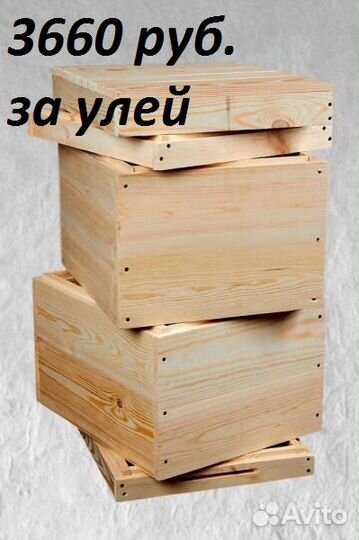 Пчелы и улья