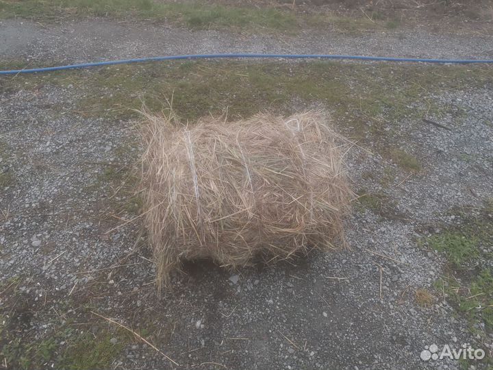 Сено в тюках