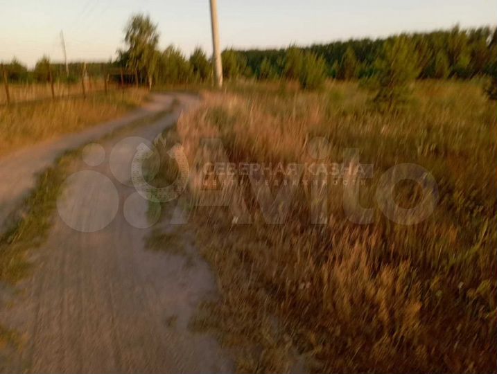 Участок 12,8 сот. (ИЖС)