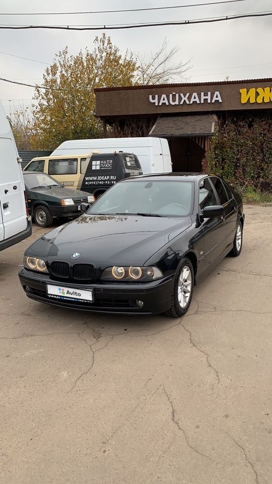 BMW 5 серия: фото владельца