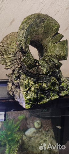 Декор и грунт