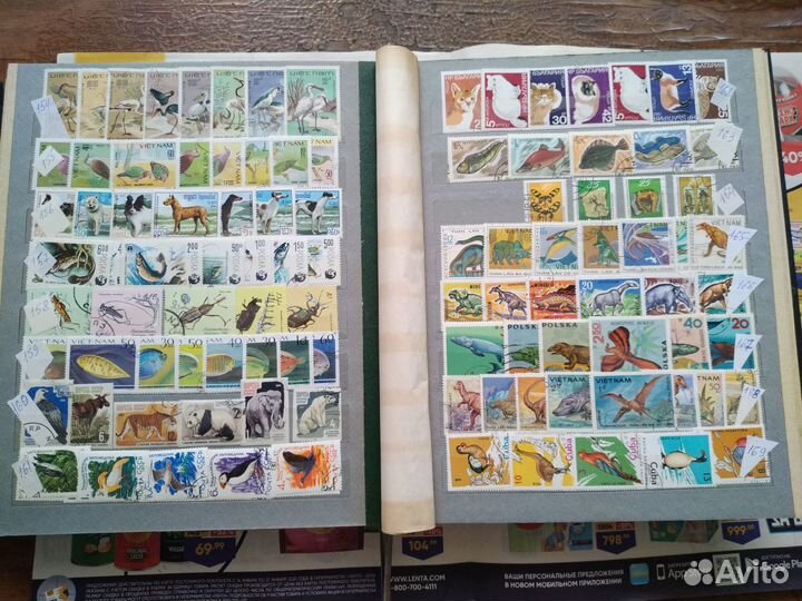 Почтовые марки.Фауна 1