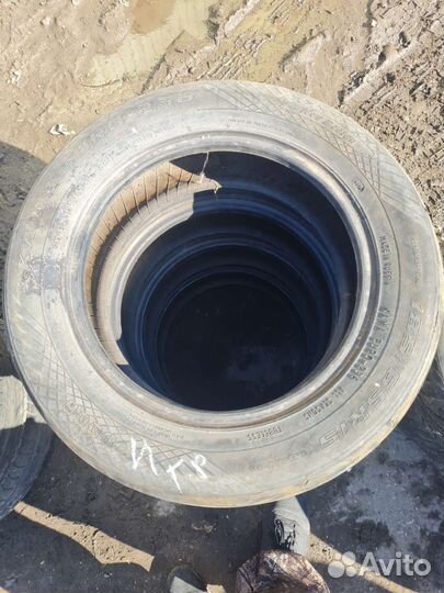 Nokian Tyres Nordman SX 195/65 R15