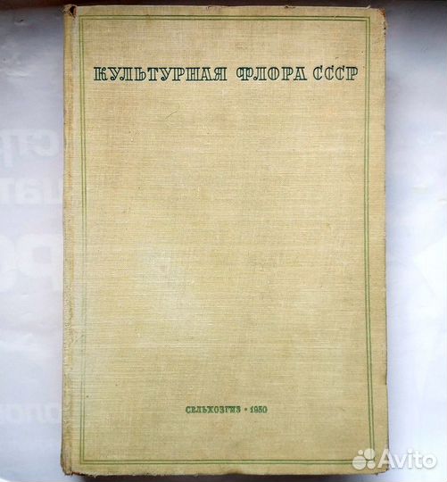 Культурная флора СССР Том13 Многолетние травы 1950