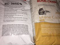 Royal Canin сухой корм для кошек в ассортименте