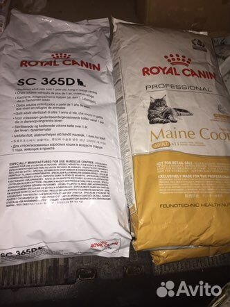 Асортимент Royal Canin корм для кошек и котят