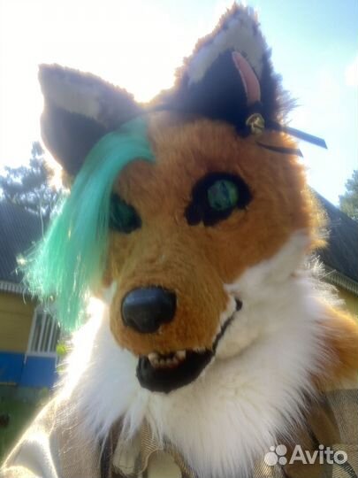 Фурсьют лисы