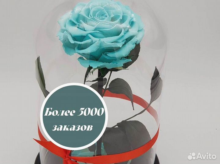 Розы в колбе любые