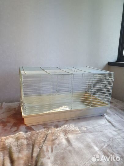 Товары для крыс, хомяков