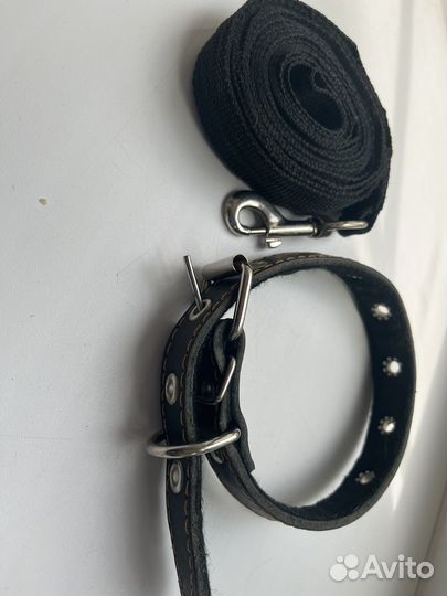 Ошейник и поводок для собак