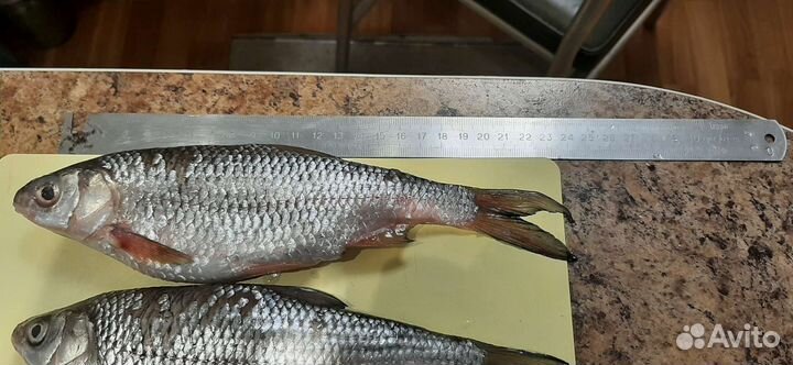 Продукты питания